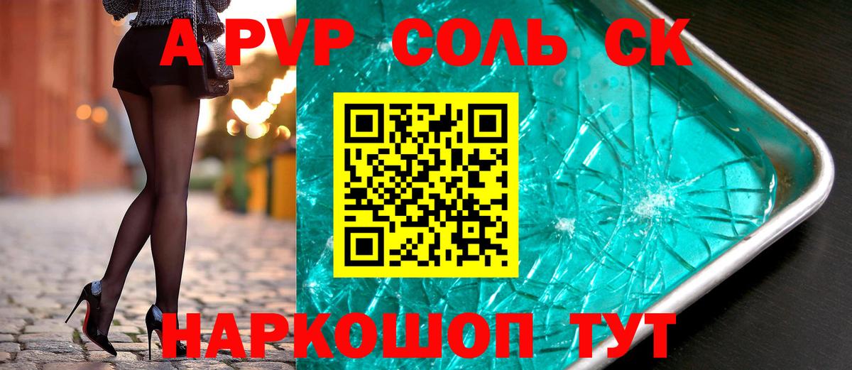 Alfa_PVP СК Майкоп