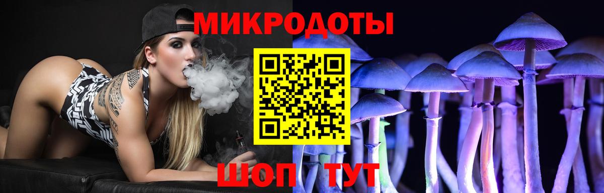 Псилоцибиновые грибы MAGIC MUSHROOMS  Галлюциногенные грибы мухоморы  что такое   Вход с VPN  Майкоп 